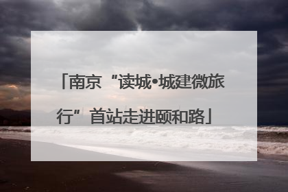 南京“读城•城建微旅行”首站走进颐和路