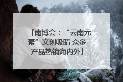 南博会：“云南元素”文创吸睛 众多产品热销海内外