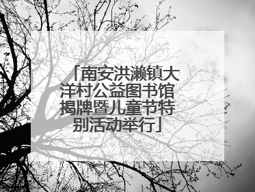 南安洪濑镇大洋村公益图书馆揭牌暨儿童节特别活动举行