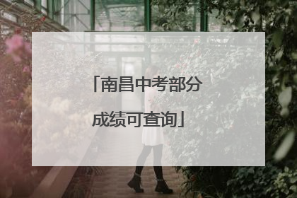 南昌中考部分成绩可查询