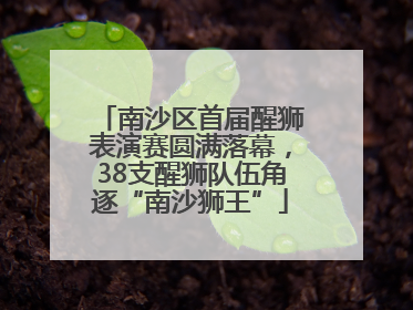 南沙区首届醒狮表演赛圆满落幕，38支醒狮队伍角逐“南沙狮王”