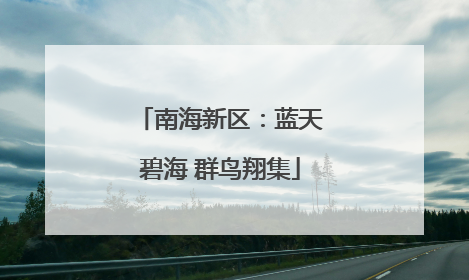南海新区：蓝天碧海 群鸟翔集