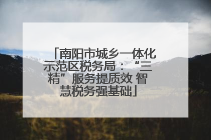 南阳市城乡一体化示范区税务局：“三精”服务提质效 智慧税务强基础