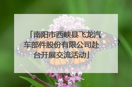 南阳市西峡县飞龙汽车部件股份有限公司赴台开展交流活动
