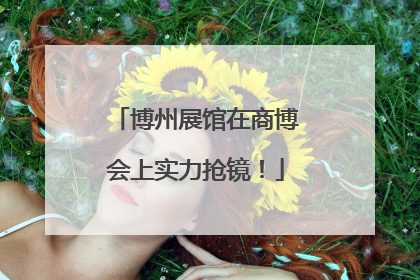 博州展馆在商博会上实力抢镜！