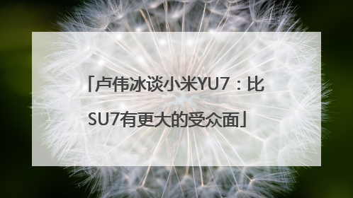 卢伟冰谈小米YU7：比SU7有更大的受众面