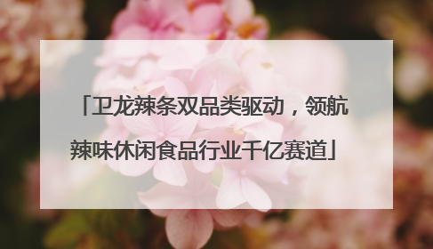 卫龙辣条双品类驱动，领航辣味休闲食品行业千亿赛道