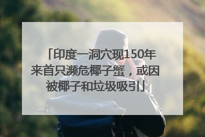 印度一洞穴现150年来首只濒危椰子蟹，或因被椰子和垃圾吸引