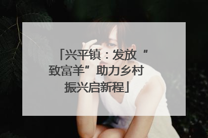兴平镇：发放“致富羊”助力乡村振兴启新程