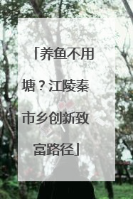 养鱼不用塘？江陵秦市乡创新致富路径