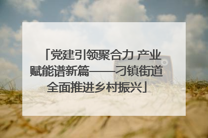 党建引领聚合力 产业赋能谱新篇——刁镇街道全面推进乡村振兴