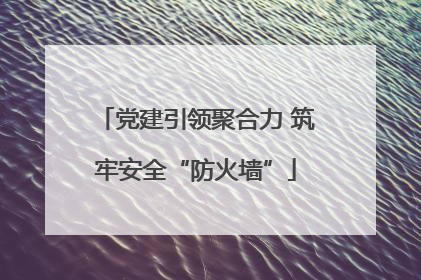 党建引领聚合力 筑牢安全“防火墙”