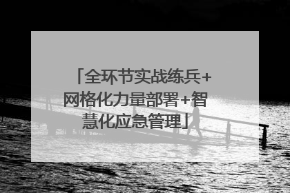 全环节实战练兵+网格化力量部署+智慧化应急管理
