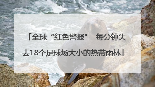 全球“红色警报”  每分钟失去18个足球场大小的热带雨林