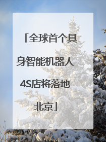 全球首个具身智能机器人4S店将落地北京