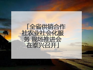 全省供销合作社农业社会化服务 现场推进会在泰兴召开