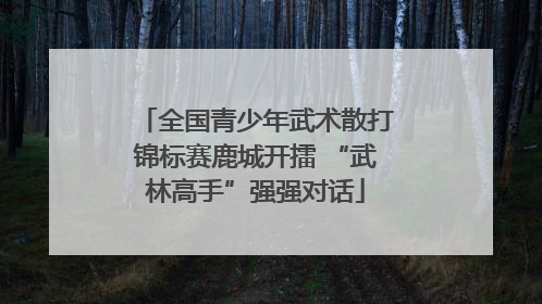 全国青少年武术散打锦标赛鹿城开擂 “武林高手”强强对话