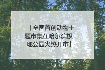 全国首创动物主题市集在哈尔滨极地公园火热开市