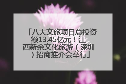 八大文旅项目总投资额13.45亿元！江西新余文化旅游（深圳）招商推介会举行