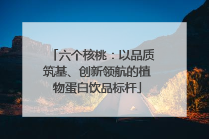 六个核桃：以品质筑基、创新领航的植物蛋白饮品标杆