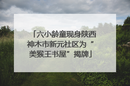 六小龄童现身陕西神木市新元社区为“美猴王书屋”揭牌