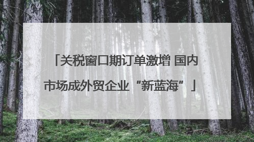 关税窗口期订单激增 国内市场成外贸企业“新蓝海”