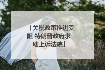 关税政策推进受阻 特朗普政府求助上诉法院