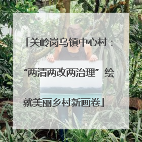 关岭岗乌镇中心村：“两清两改两治理”绘就美丽乡村新画卷