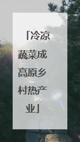 冷凉蔬菜成高原乡村热产业