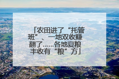 农田进了“托管班”、一地双收赚翻了……各地夏粮丰收有“粮”方
