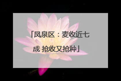 凤泉区：麦收近七成 抢收又抢种