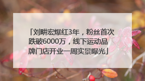 刘畊宏爆红3年，粉丝首次跌破6000万，线下运动品牌门店开业一周实景曝光