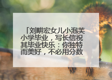 刘畊宏女儿小泡芙小学毕业，写长信祝其毕业快乐：你独特而美好，不必用分数证明自己