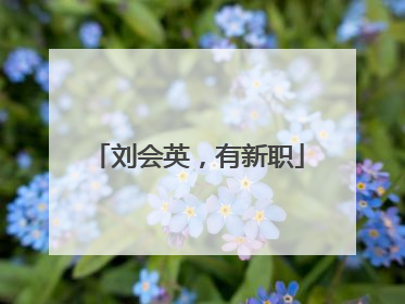 刘会英，有新职