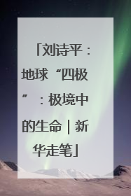 刘诗平：地球“四极”：极境中的生命｜新华走笔