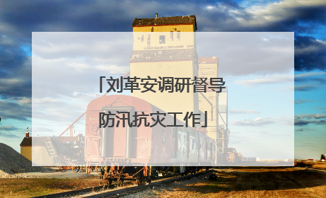 刘革安调研督导防汛抗灾工作