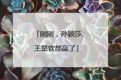 刚刚，孙颖莎、王楚钦都赢了