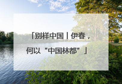 别样中国丨伊春，何以“中国林都”