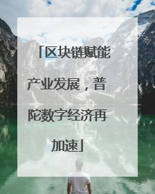 区块链赋能产业发展，普陀数字经济再加速