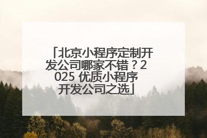 北京小程序定制开发公司哪家不错？2025 优质小程序开发公司之选