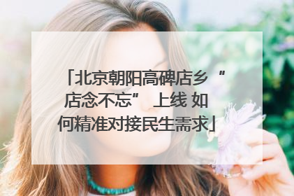 北京朝阳高碑店乡“店念不忘” 上线 如何精准对接民生需求