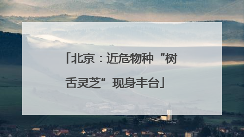 北京：近危物种“树舌灵芝”现身丰台