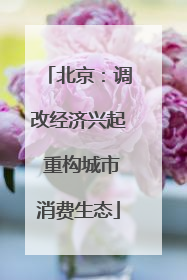 北京：调改经济兴起 重构城市消费生态