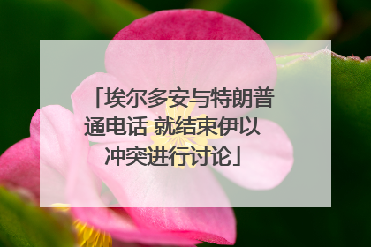 埃尔多安与特朗普通电话 就结束伊以冲突进行讨论