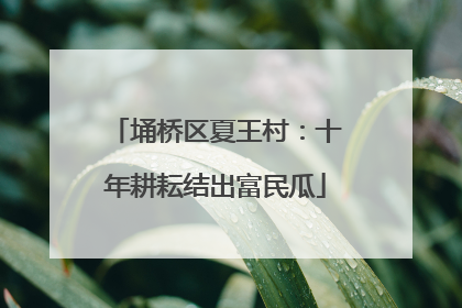 埇桥区夏王村：十年耕耘结出富民瓜