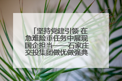 坚持党建引领 在急难险重任务中展现国企担当——石家庄交投集团做优做强典型报道之一