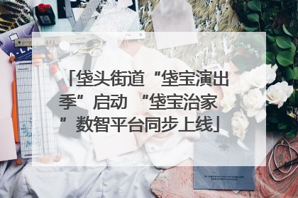 垡头街道“垡宝演出季”启动 “垡宝治家”数智平台同步上线