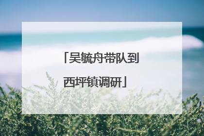 吴毓舟带队到西坪镇调研