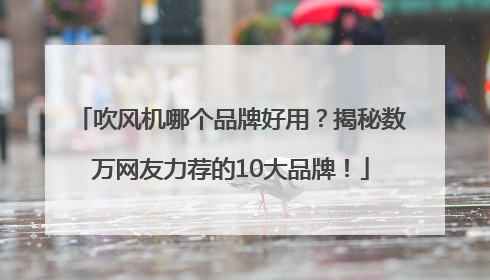 吹风机哪个品牌好用？揭秘数万网友力荐的10大品牌！