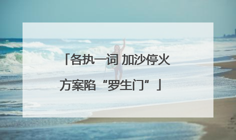 各执一词 加沙停火方案陷“罗生门”